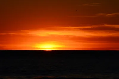 DSC_1306 (Large).JPG